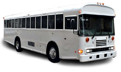 white school bus rental